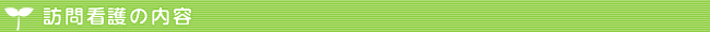 訪問看護の内容